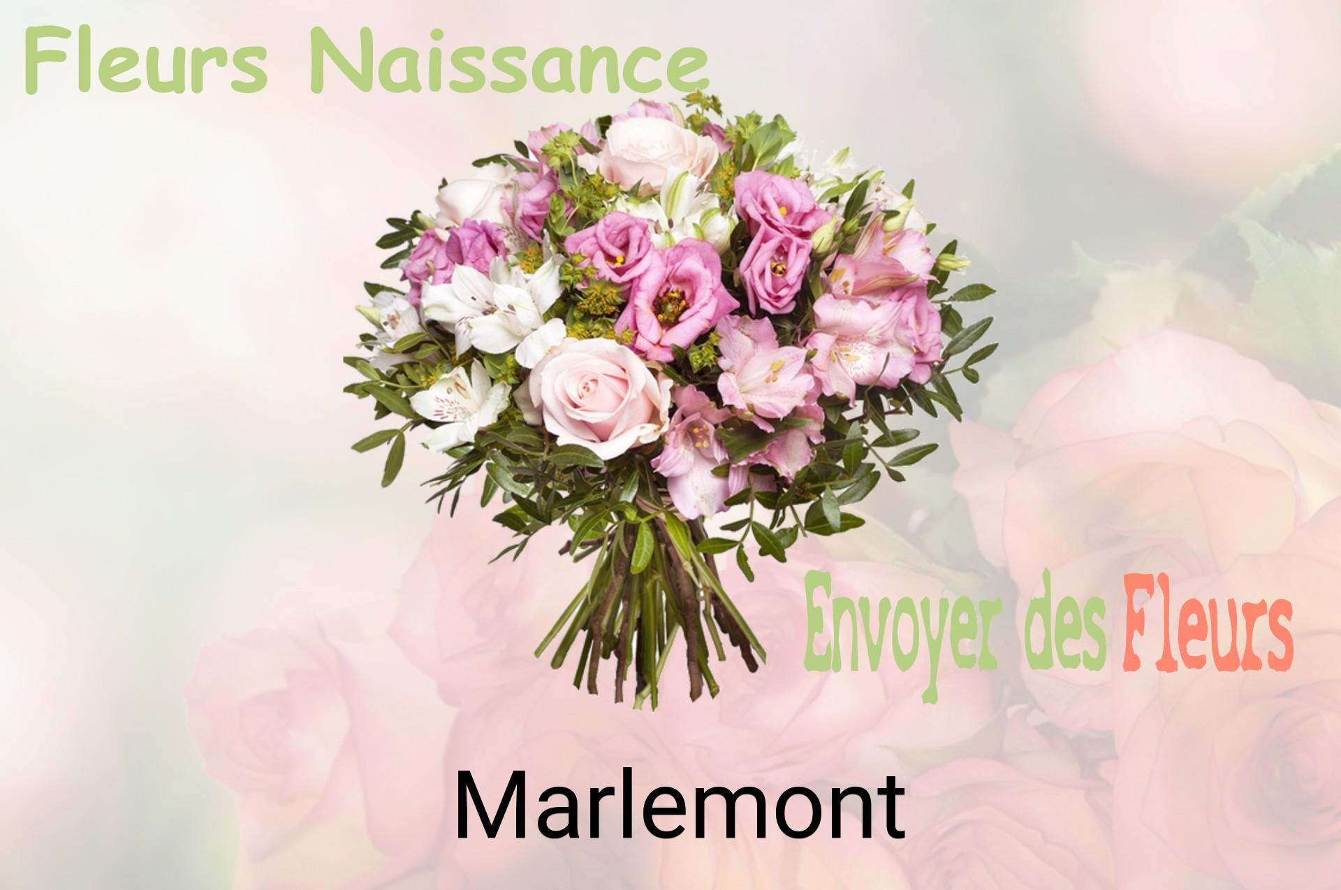 Bouquet de fleurs de naissance livré à Marlemont